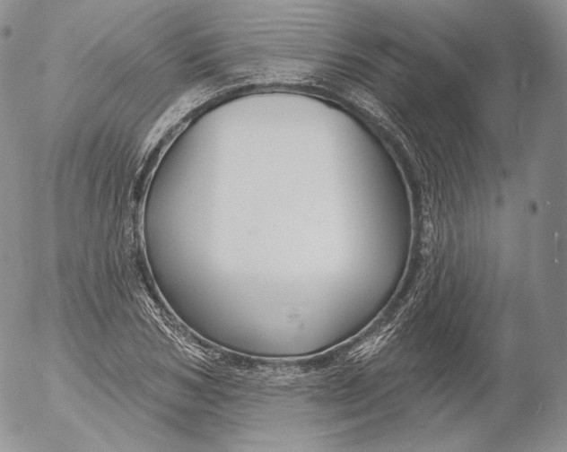 X0000053120978200508012147