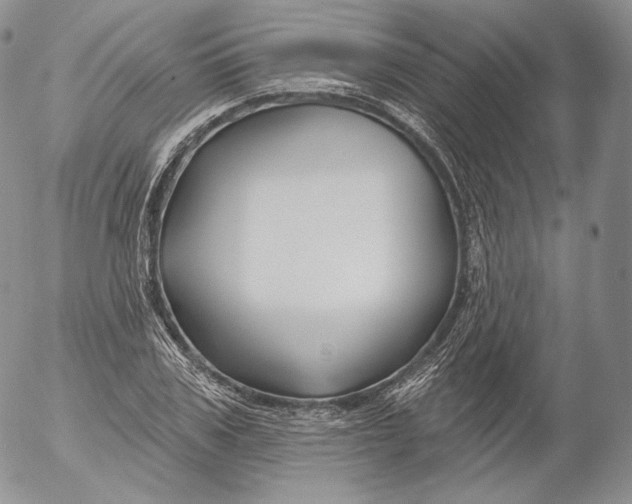 X0000053120979200508012147