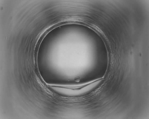 X0000053120980200508012147