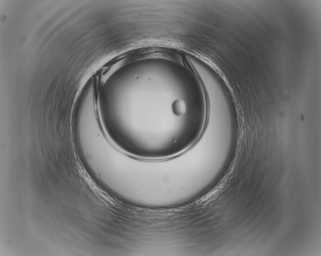 X0000053120981200508012147