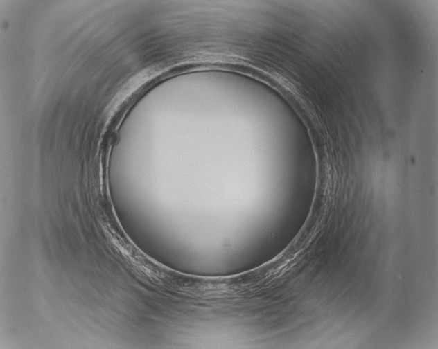 X0000053120982200508012147