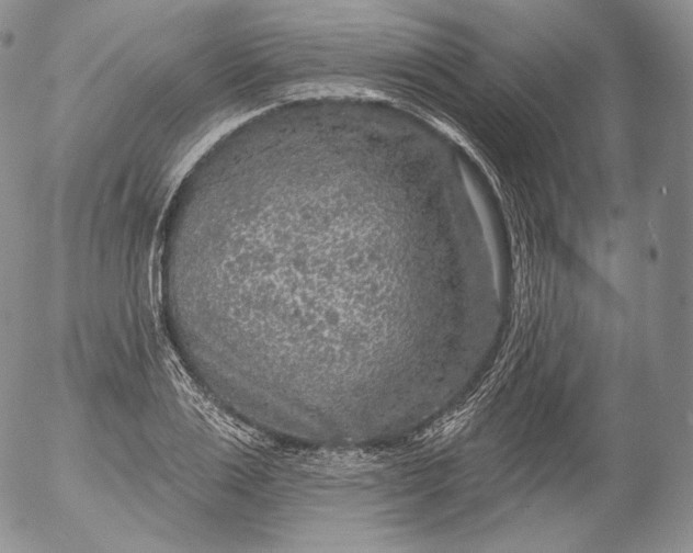 X0000053120983200508012147