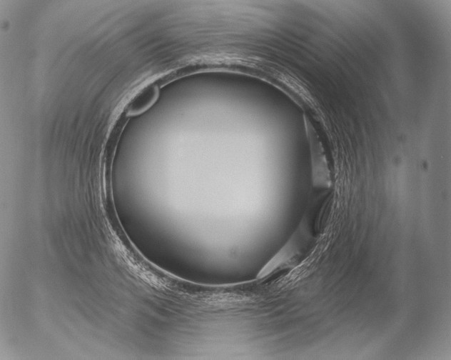 X0000053120984200508012147