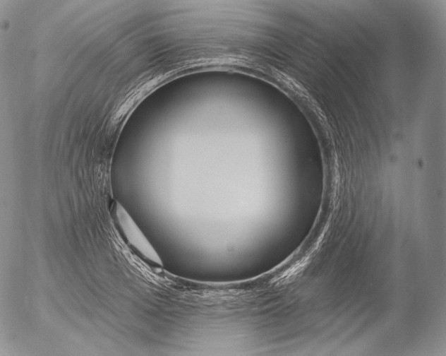 X0000053120985200508012147