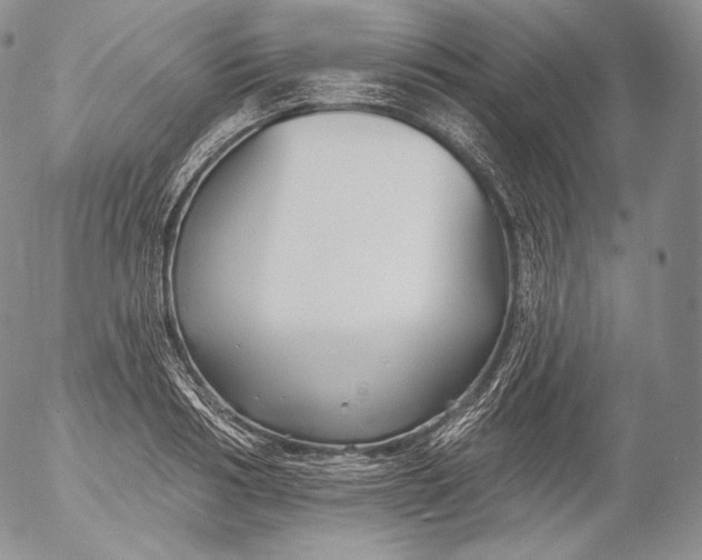 X0000053120986200508012147