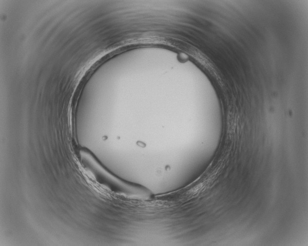 X0000053120988200508012147