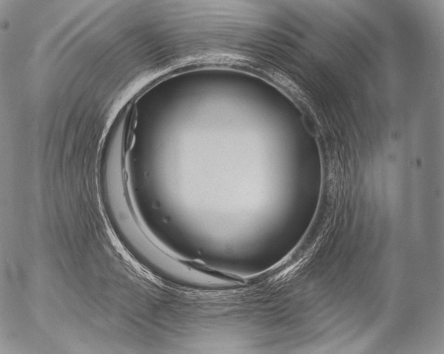 X0000053120989200508012147