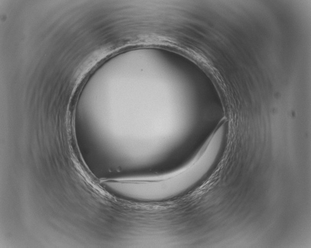 X0000053120990200508012147