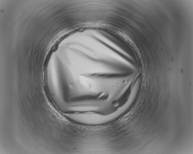 X0000053120992200508012147