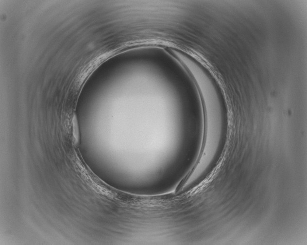 X0000053120993200508012147