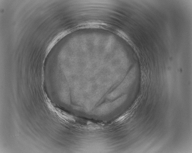 X0000053120994200508012147