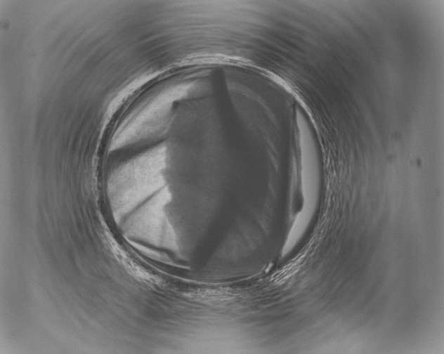 X0000053120995200508012147