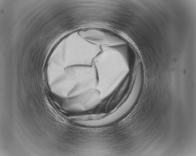 X0000053120996200508012147