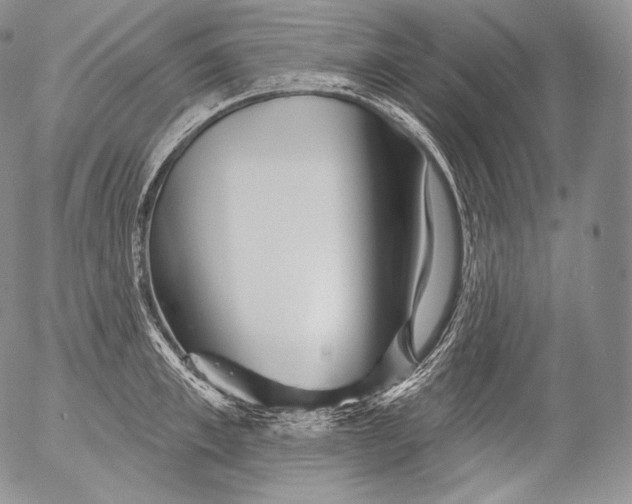 X0000053120997200508012147