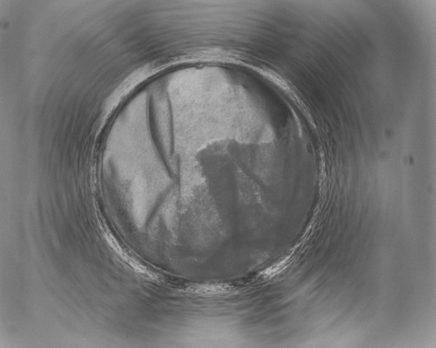 X0000053120998200508012147