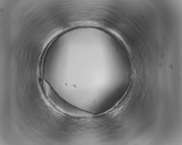 X0000053120999200508012147