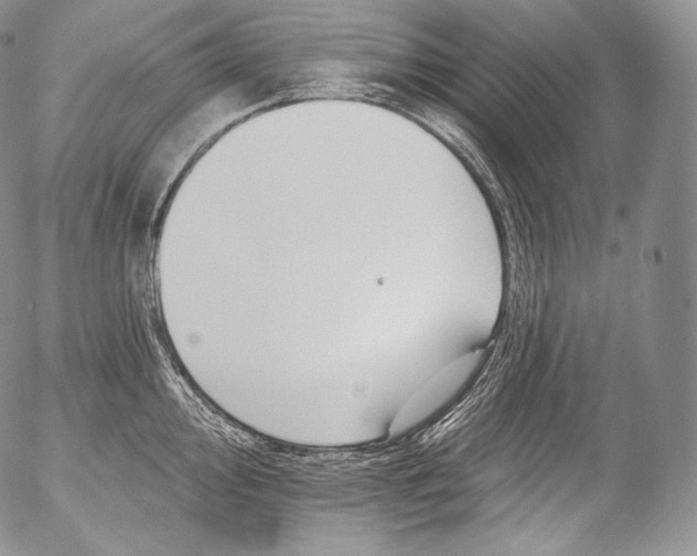 X0000053121000200508012147