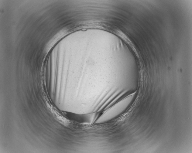 X0000053121002200508012146