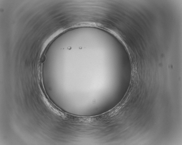 X0000053121003200508012146