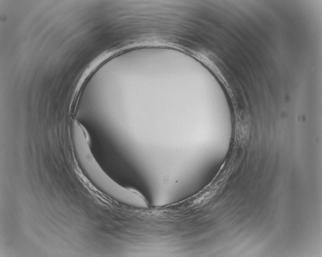 X0000053121004200508012146