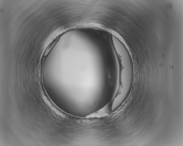 X0000053121005200508012146