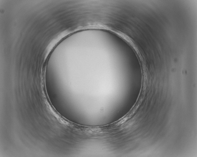 X0000053121006200508012146