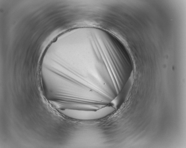 X0000053121008200508012146