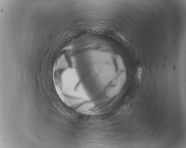 X0000053121009200508012146