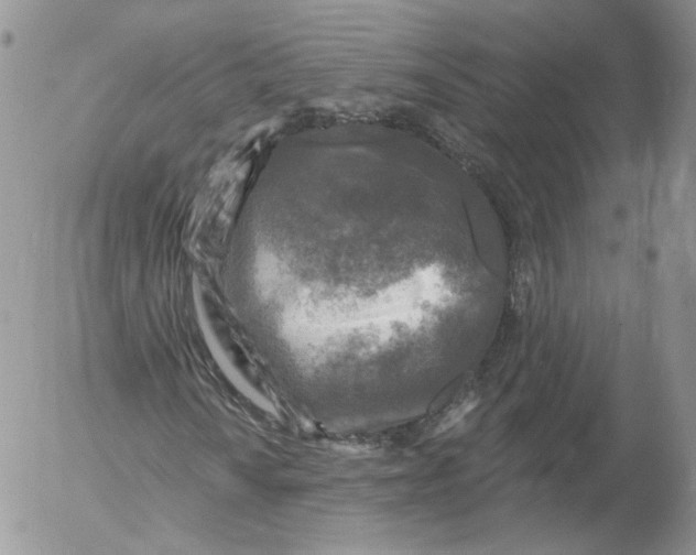 X0000053121010200508012146