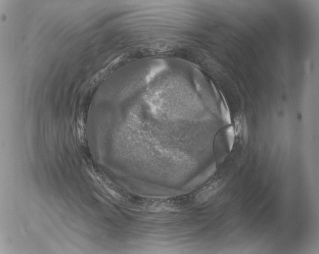 X0000053121011200508012146