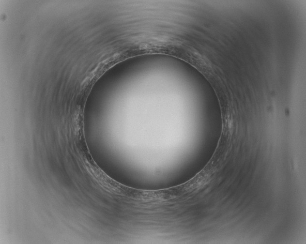 X0000053121012200508012146