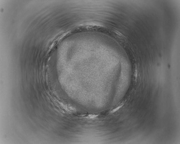 X0000053121014200508012146