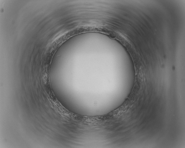 X0000053121015200508012146