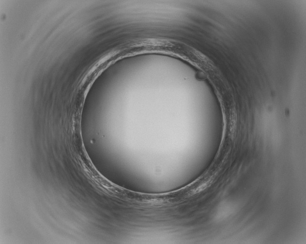 X0000053121017200508012146