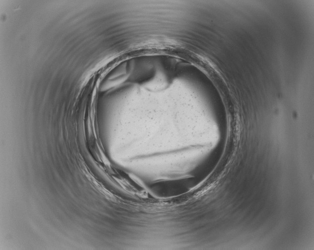 X0000053121018200508012146