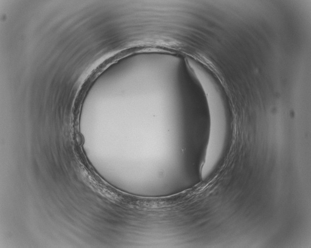 X0000053121020200508012146