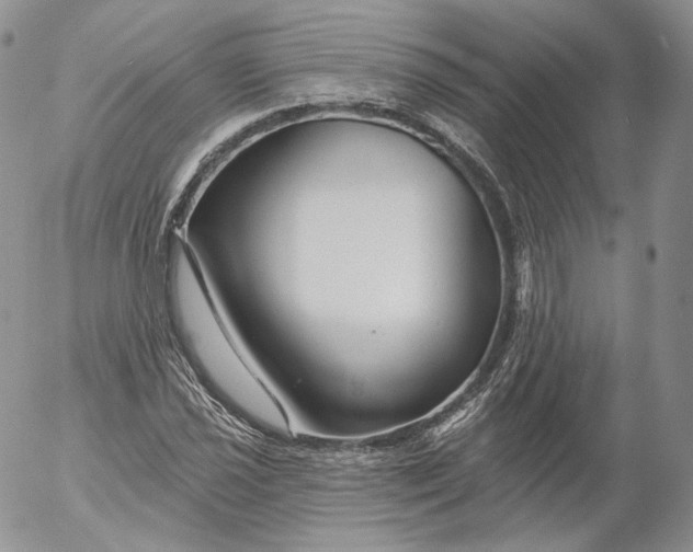 X0000053121021200508012146