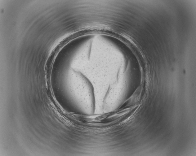 X0000053121022200508012146