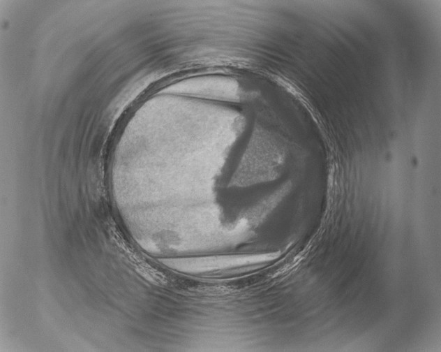 X0000053121023200508012146