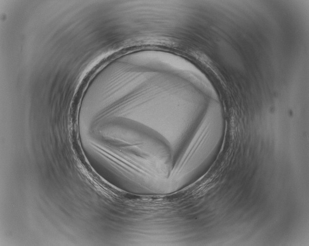 X0000053121024200508012146