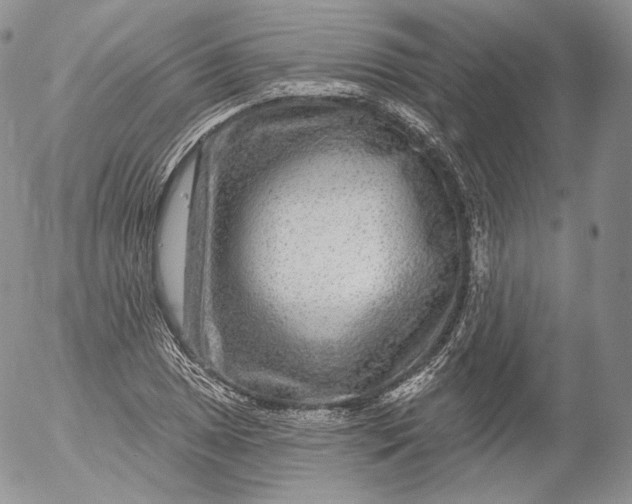 X0000053121025200508012146