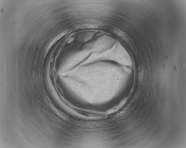 X0000053121026200508012146