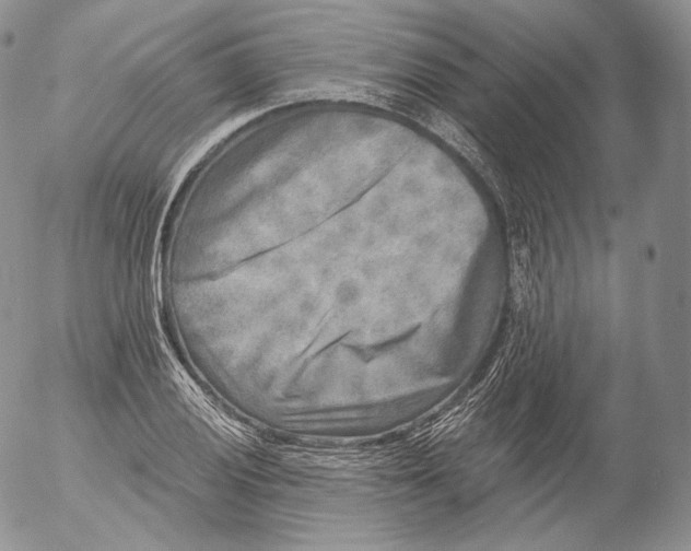 X0000053121028200508012146