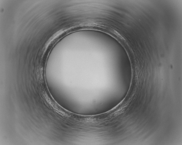 X0000053121029200508012146