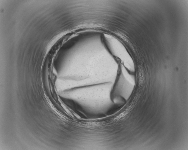 X0000053121030200508012146