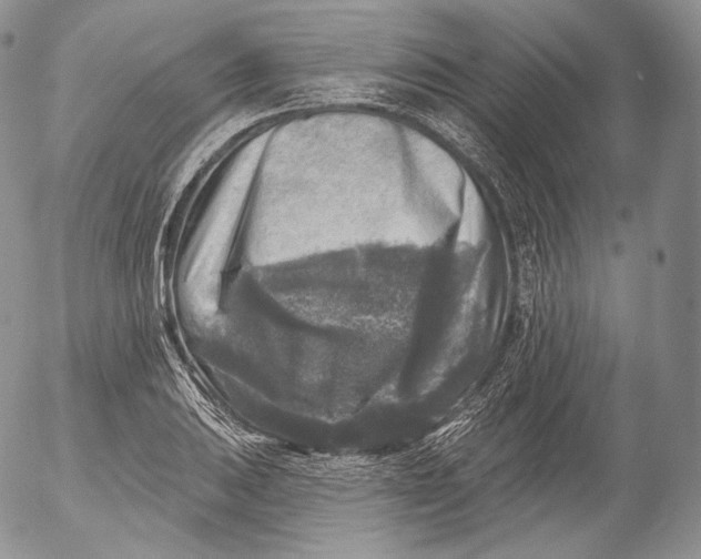 X0000053121031200508012146