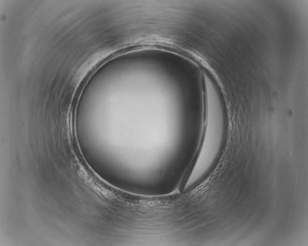 X0000053121032200508012146