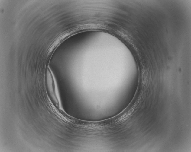 X0000053121033200508012146