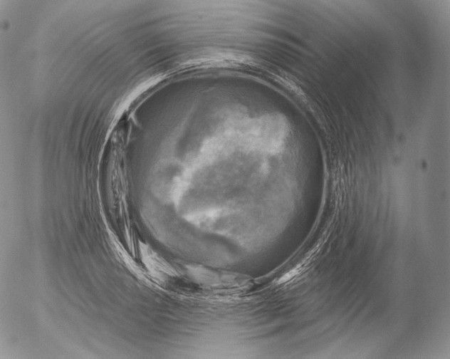 X0000053121034200508012146