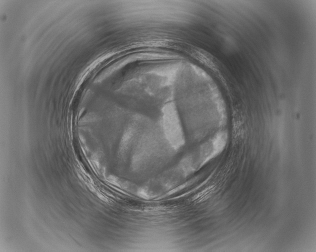 X0000053121035200508012146